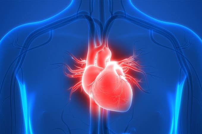 How to Build a Strong Foundation for Better Health